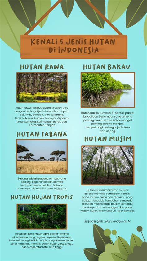 Jenis Hutan Di Indonesia Lengkap Images