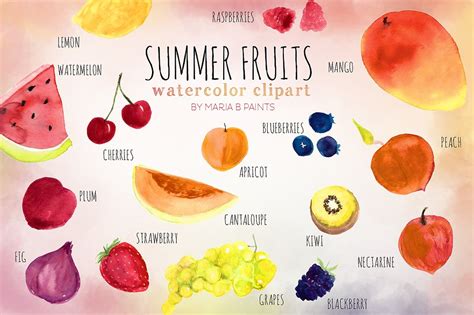 Summer is the hottest of the four temperate seasons, falling after spring and before autumn. Summer Fruit Watercolor Clip-art ~ Illustrations ...