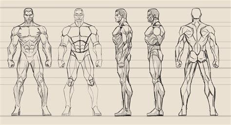 Did A Male Anatomy Study In Photoshop Comic Tutorial Man Anatomy