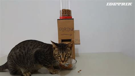 Cara membuat makanan kering kucing. Cara Membuat Tempat Makan Kucing - YouTube
