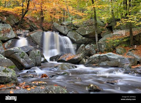 Autumn In New England Fall Foliage Scenic Waterfall Trap Falls