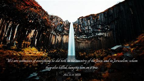 Acts 1039 Web Desktop Wallpaper We Are Witnesses Of Everything He