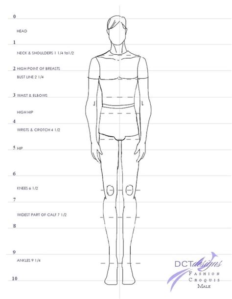 Proporsi Tubuh Manusia Human Proportions Human Body Drawing Draw Body Sexiz Pix