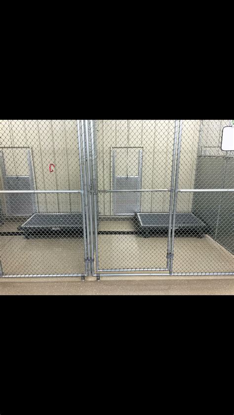 Commercial Dog Kennels 6 Essential Quality Features Artofit