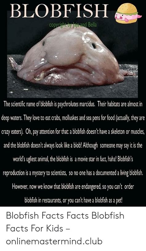 7 Photos Blobfish Facts For Kids And View Alqu Blog