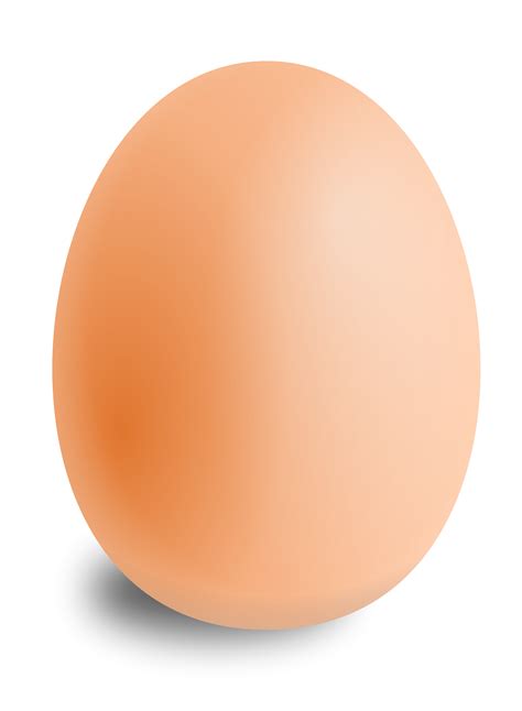 Egg Png Image Transparent Image Download Size 1760x2400px