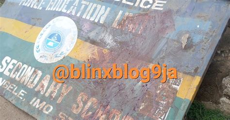 These are the police officers shot during the riots. Blinxblog9ja: Police Brutality(VIDEO): Riot As Police shot ...