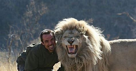 Lion Whisperer Gets Up Close And Personal With Wild Lions Kevin