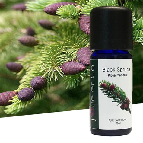 Black Spruce Essential Oil Jolie Et Co