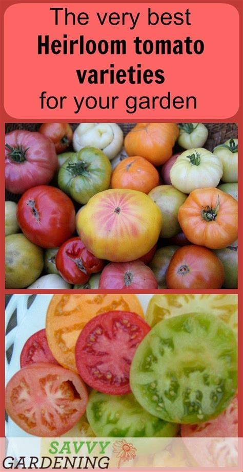 Heirloom Tomato Varieties For Your Garden The Best Of The Best