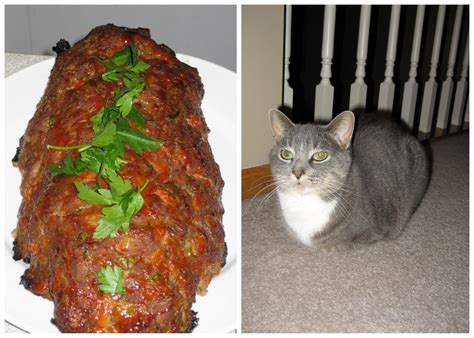 Cat Meatloafing