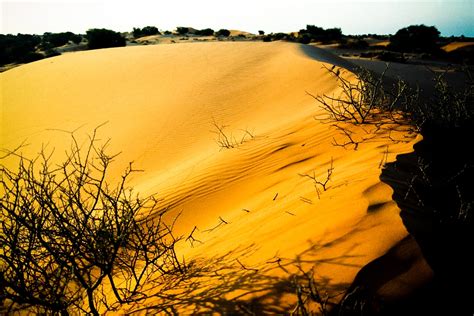 Kalahari Desert On World Map
