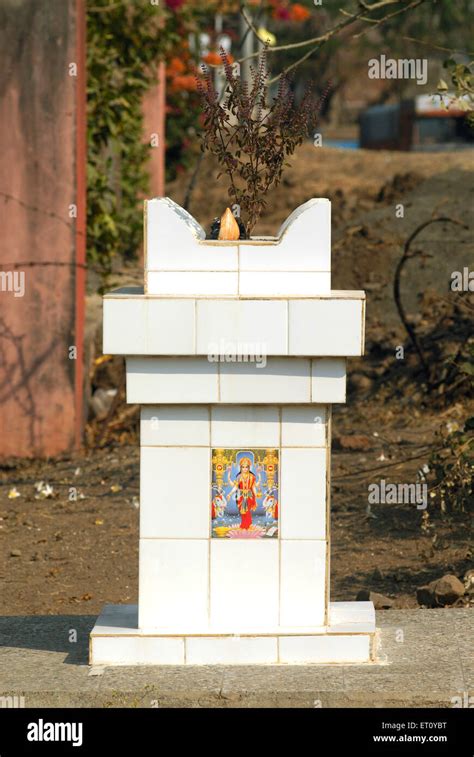 Tulsi Vrindavan Holy Plant Of Hindu Village Donje Pune