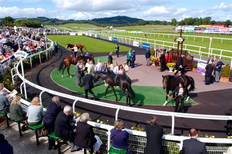 Chepstow Racing Tip Course Winner Carp Kid Has Plenty To Give From