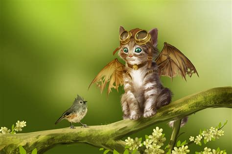 Download Cute Bird Goggles Wings Fantasy Cat Cute Cat Hd Wallpaper By