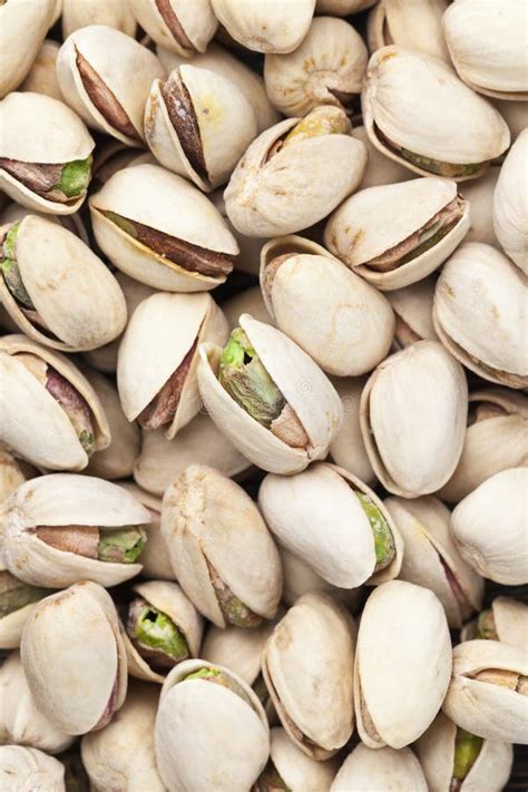 Salted And Roasted Pistachio Nuts Stock Photo Image Of Nature