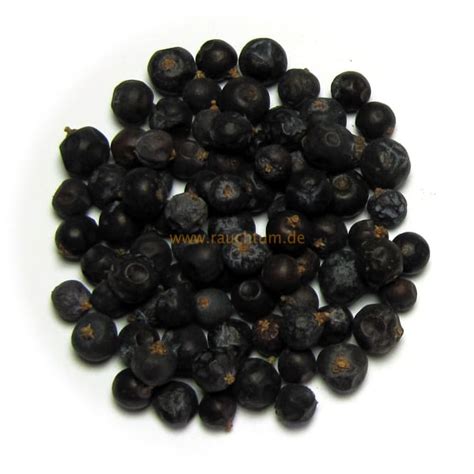 Check 'wacholderbeeren' translations into english. Wacholderbeeren | Räucherwerk kaufen