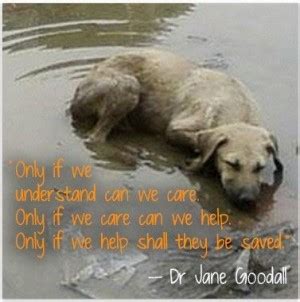 Discover and share animal compassion quotes. Animal Compassion Quotes. QuotesGram