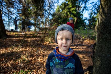 Free Photo Boy In The Woods