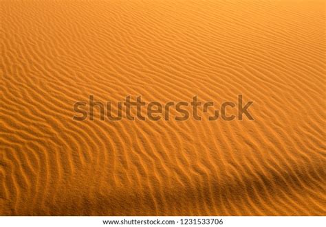 Sand Texture Sahara Desert Stock Photo 1231533706 Shutterstock