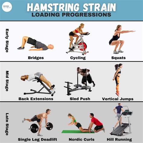 physio network on instagram “hamstring strain loading progressions 🏋️‍♂️ here are some great