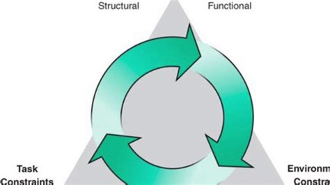 Newell's model of interacting constraints provides a useful framework for organizing our knowledge of the quiet eye. Newells Model Of Constraints : On The Relatedness And ...