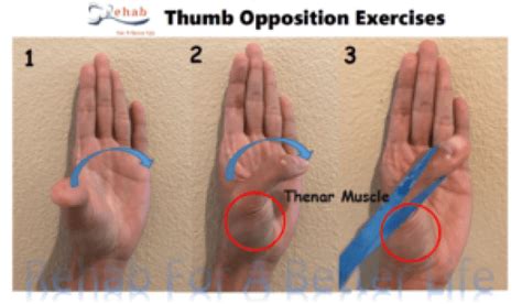The Best Exercises For Your Painful Thumb Arthritis Rehab For A