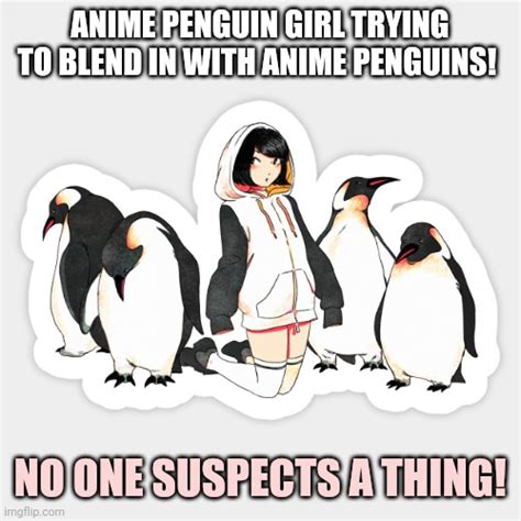 Pro Anime Penguins Imgflip