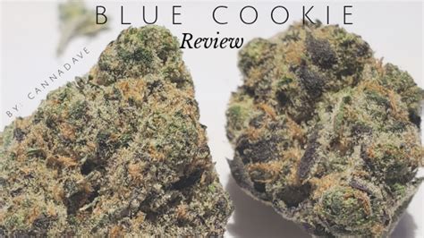Blue Cookie Strain Review Canna Dave