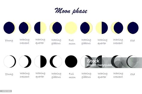 Skema Siklus Bulan Semuanya Fase Bulan Yang Waxing Crescent Waxing