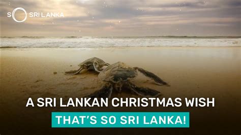 We Wish You A Merry Christmas So Sri Lanka Youtube