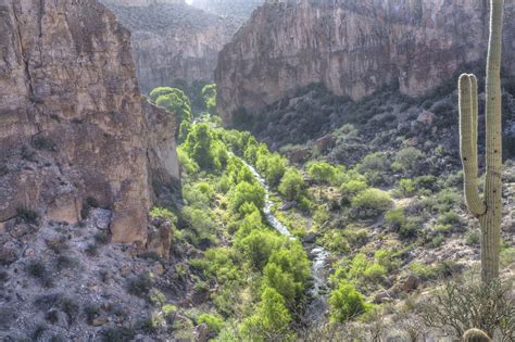 Spring Hikes Aravaipa Canyon Wilderness In Arizona