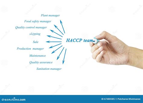 Women Hand Writing Element Of Haccp Team For Business Concept An Stock