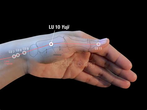 Yuji Lu 10 Master Tungs Acupuncture Elotus Core