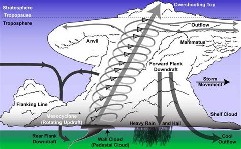 Steve Horstmeyer S Inside The Forecast Thunderstorm Primer Part