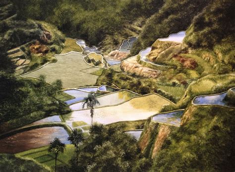 Watercolor, 21x29in/53.3x73.6cm on 300g/140lb paper - Banaue Rice