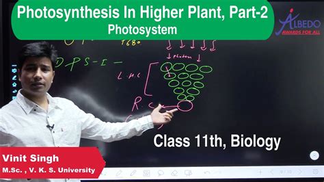 Photosynthesis In Higher Plant Part 2 Photosystem Class 11th