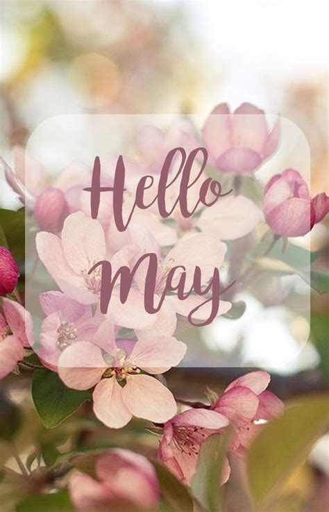 Hello May Hello May New Month Seasons Months
