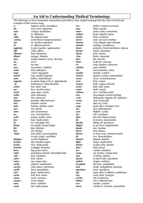 Medical Terminology Prefixes And Suffixes To Understand Anatomy An
