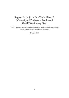Un Exemple De Projet Informatique.pdf notice & manuel d'utilisation