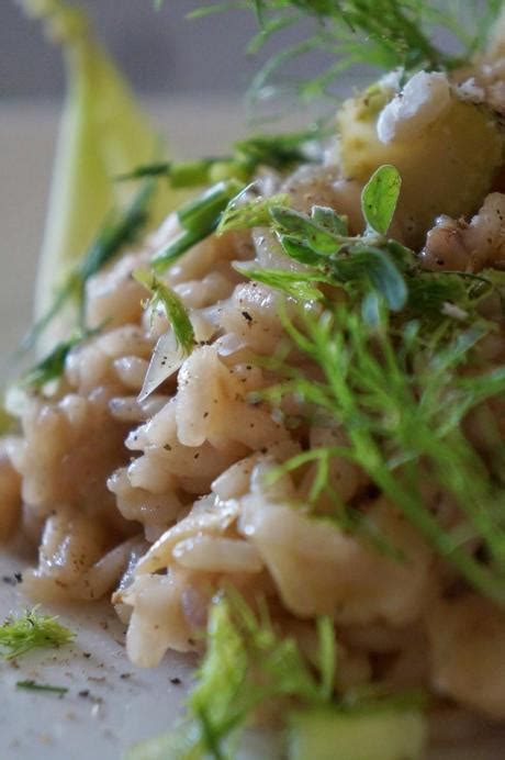 Risotto al finocchio (con hinojo). Risotto al Finocchio e Brodo di Coniglio - Paperblog