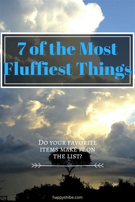 Check spelling or type a new query. All Things Fluffy (With images) | Fluffy, Shiba inu, Shiba
