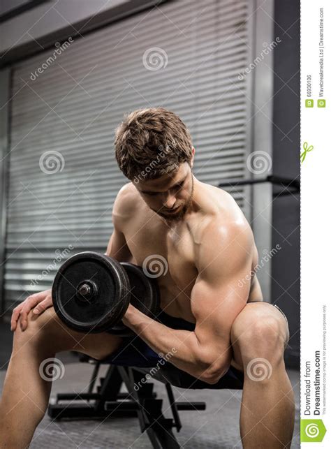 Shirtless Man Lifting Heavy Dumbbell On Bench Stock Photo Image Of