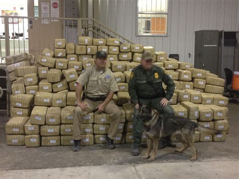 A group of undercover detroit police posing as drug dealers tried to arrest another group of undercover police posing as drug buyers. Texas game wardens make $4M marijuana seizure on Mexican ...