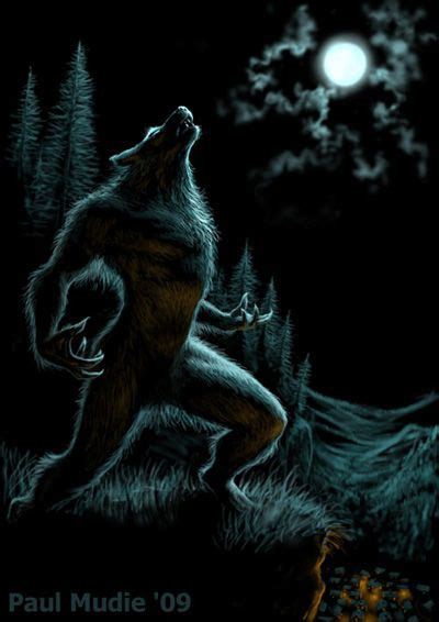 In Modern Culture The Werewolf Is Believed To Howl At The Moon And Be