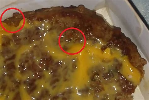 10 Most Horrifying Things Ever Discovered In Fast Food Listverse 2022