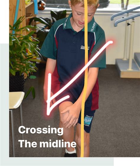 Why Is Crossing The Midline Important Centre Of Movement