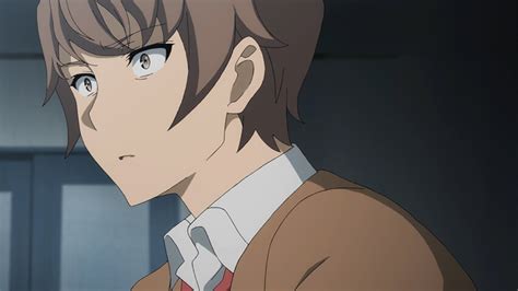 Rascal Does Not Dream Of Bunny Girl Senpai