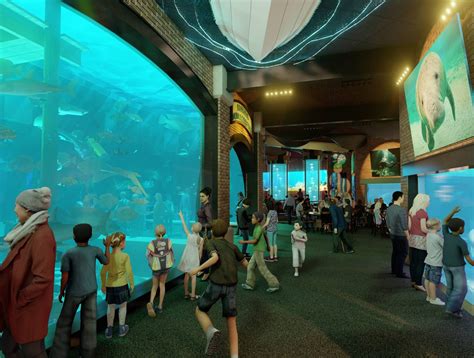 What Zootampa Could Look Like After Their 125 Million Expansion
