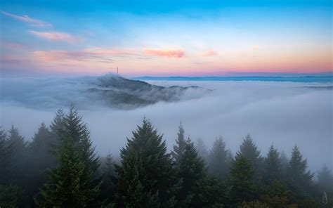 Earth Fog Horizon Nature Sky Hd Hd Nature 4k Wallpapers